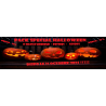 PACK n°1 - SPECIAL  - HALLOWEEN 2024  - 13 FLIMS D'HORREUR + GOODIES + 2 MUGS CINE STORY