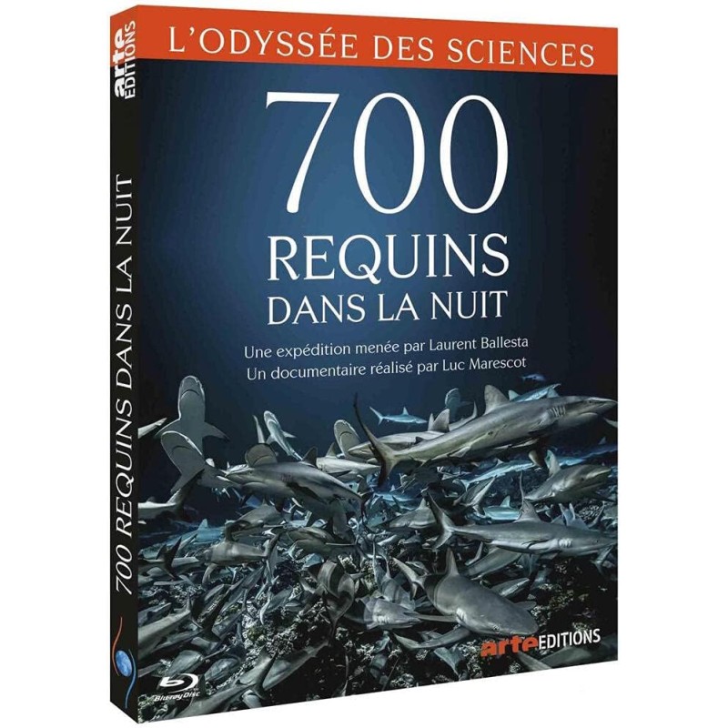 700 REQUINS DANS LA NUIT