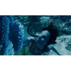 AVATAR, LA VOIE DE L'EAU - COMBO UHD 4K + 2 BR