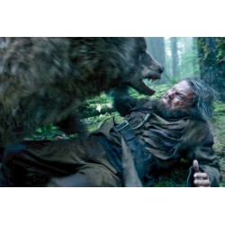 THE REVENANT